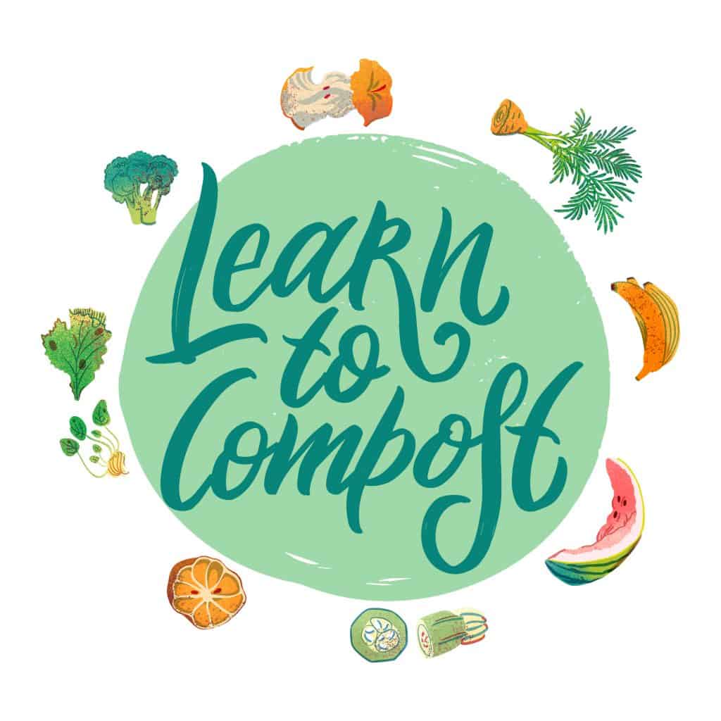 Going Back to Basics: How to Start Your Home Compost