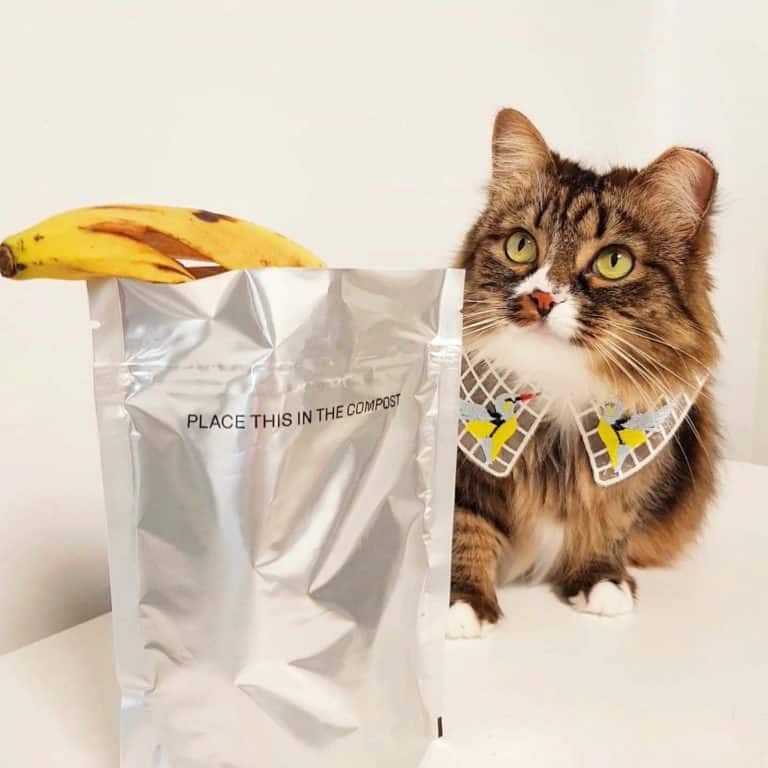 Cat Pet Compostable Packaging