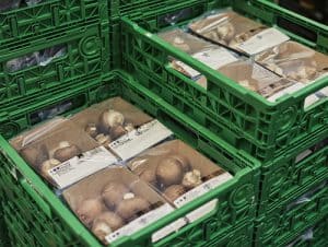 TIPA Packaging wrapping Natoora mushrooms in punnet stacked in crates