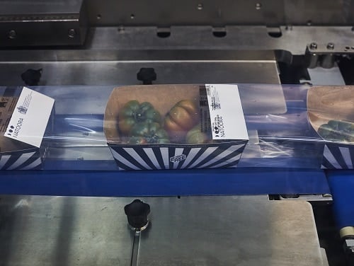 TIPA Packaging on ULMA machine wrapping Natoora tomatoes in punnet