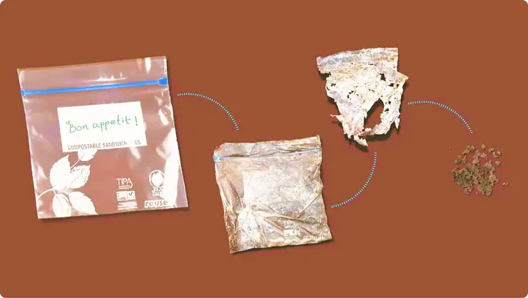 What is Biodegradable Packaging? Definition & Benefits