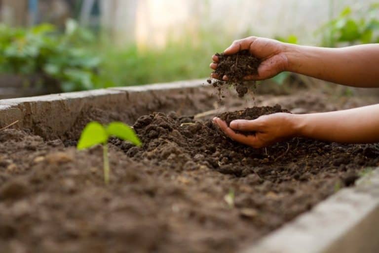 Processing Organic Waste For Your Compost with a Chipper Shredder