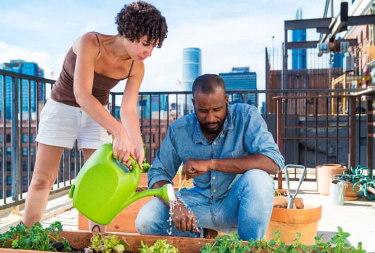 A couple watering their vegetables outdoors
