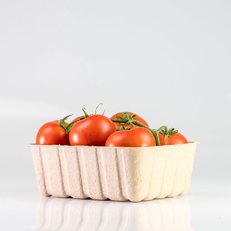 Eco-friendly paddy straw tray filled with tomatoes